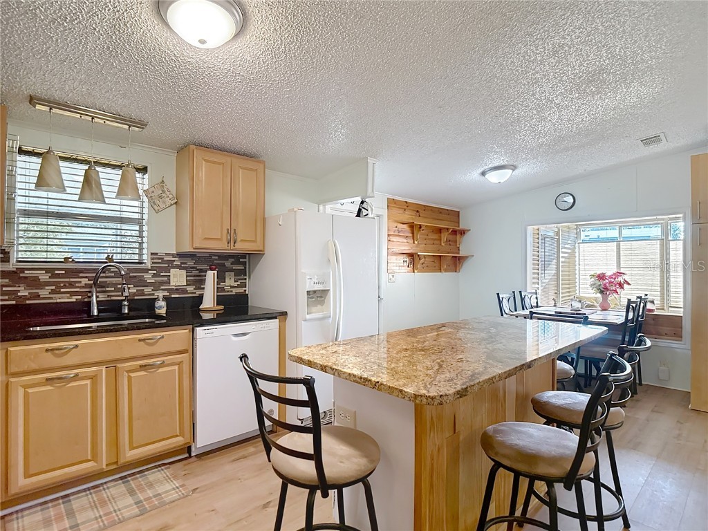 10033 Wellington Avenue Dade City FL 33525 W7874176 image13