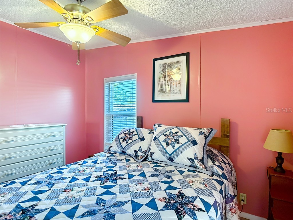 10033 Wellington Avenue Dade City FL 33525 W7874176 image31