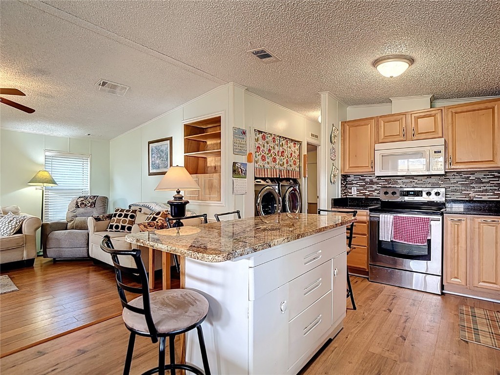 10033 Wellington Avenue Dade City FL 33525 W7874176 image6