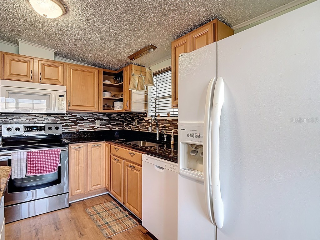 10033 Wellington Avenue Dade City FL 33525 W7874176 image7