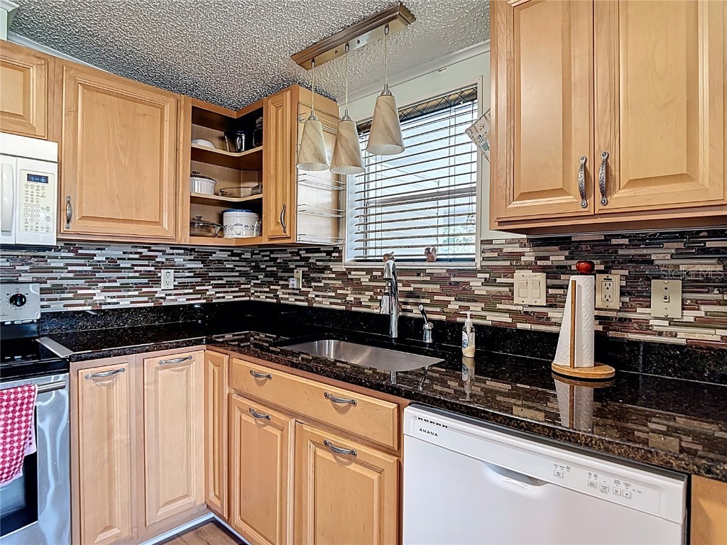 10033 Wellington Avenue Dade City FL 33525 W7874176 image8