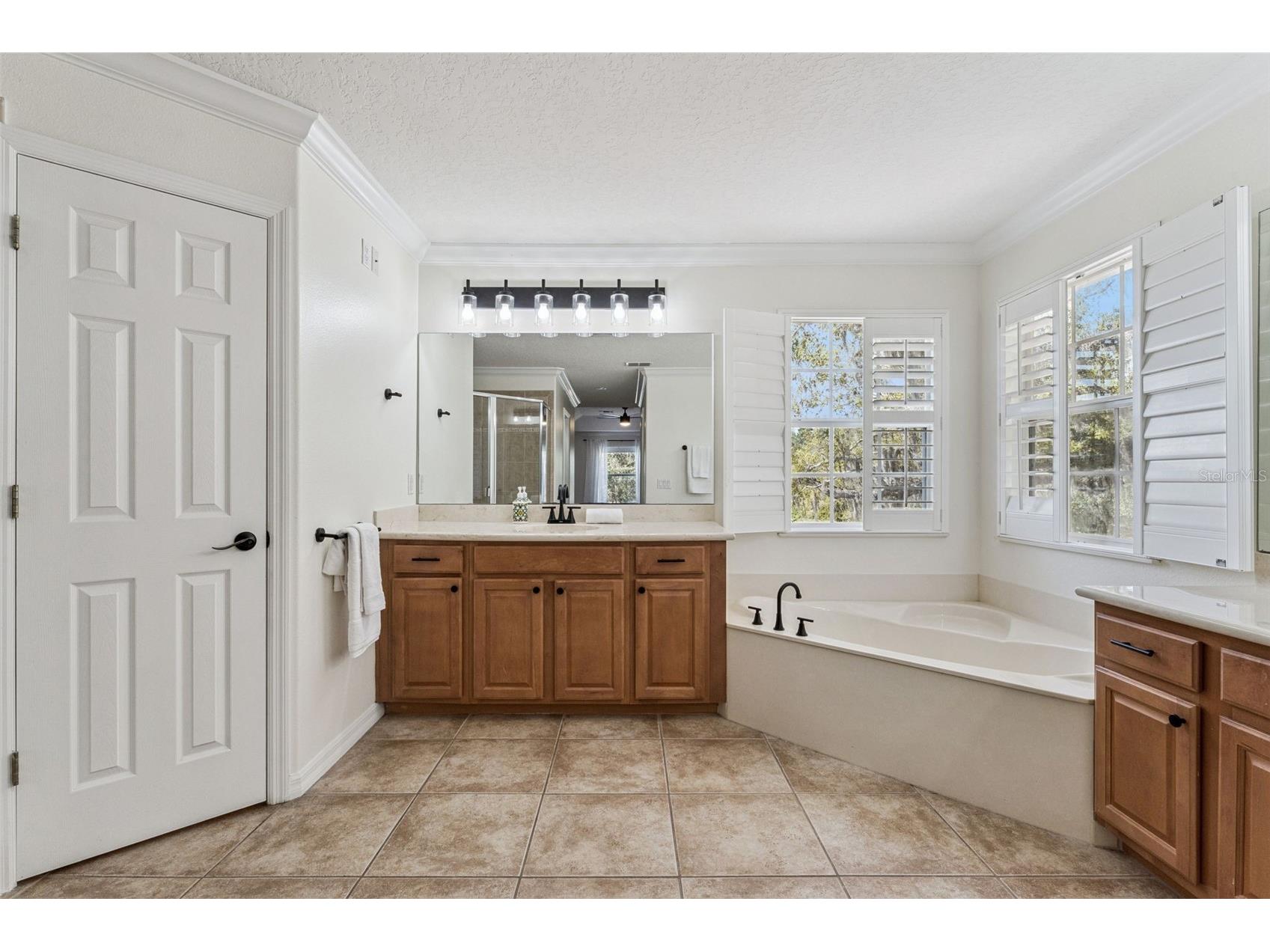 10033 Wittenberg Way Orlando FL 32832 O6389690 image27