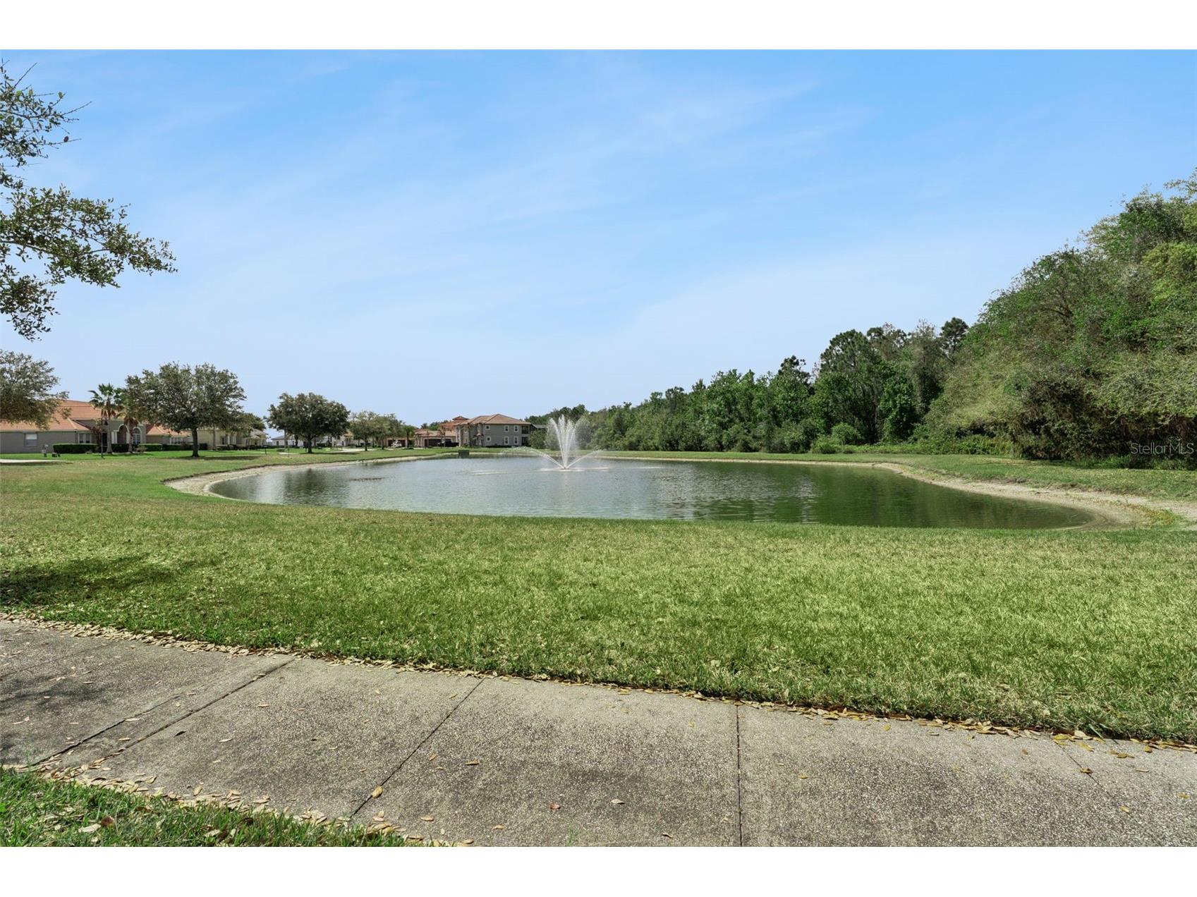 10033 Wittenberg Way Orlando FL 32832 O6389690 image48