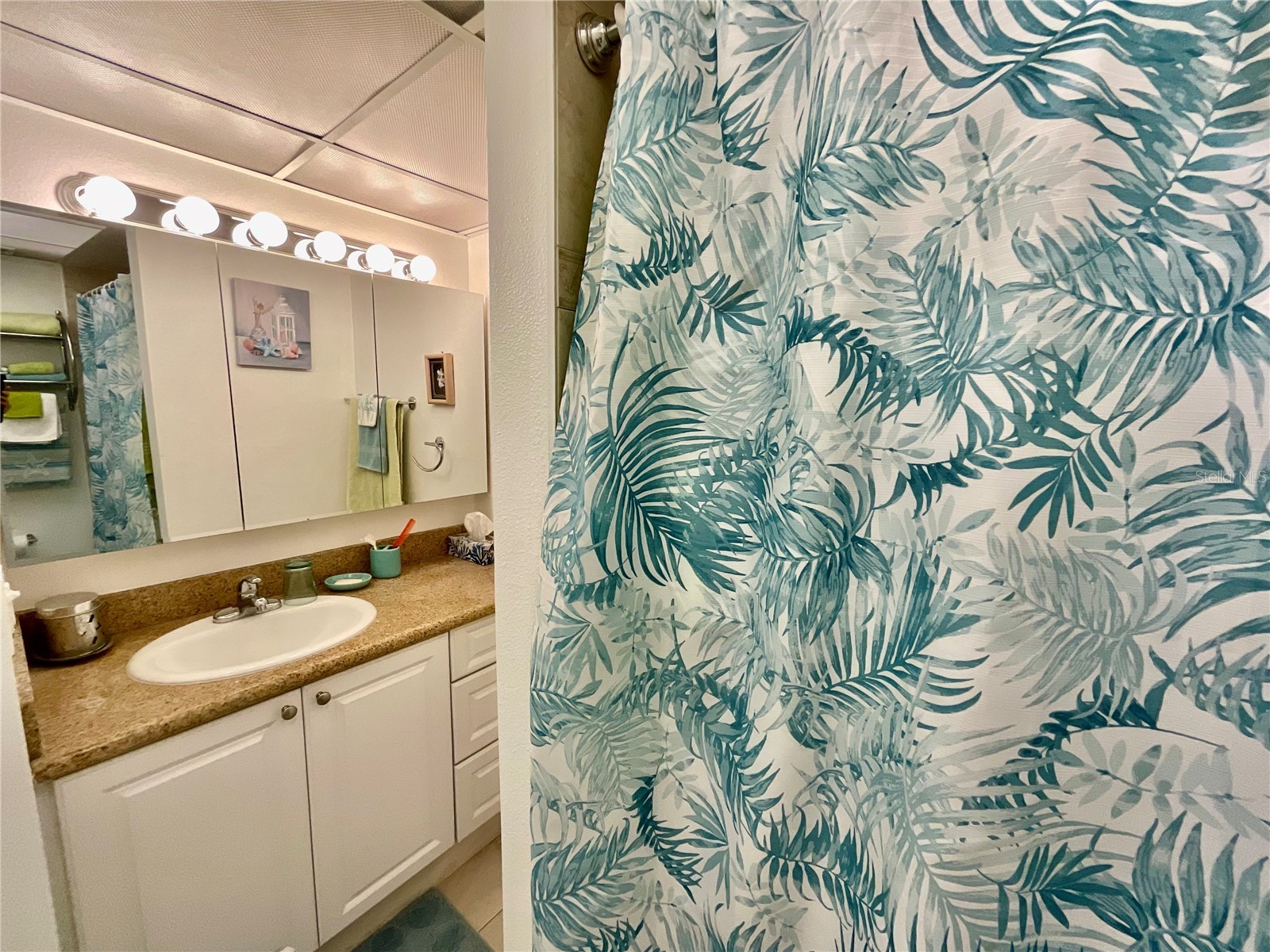10034 64th Avenue N #11 Saint Petersburg FL 33708 TB8527255 image12