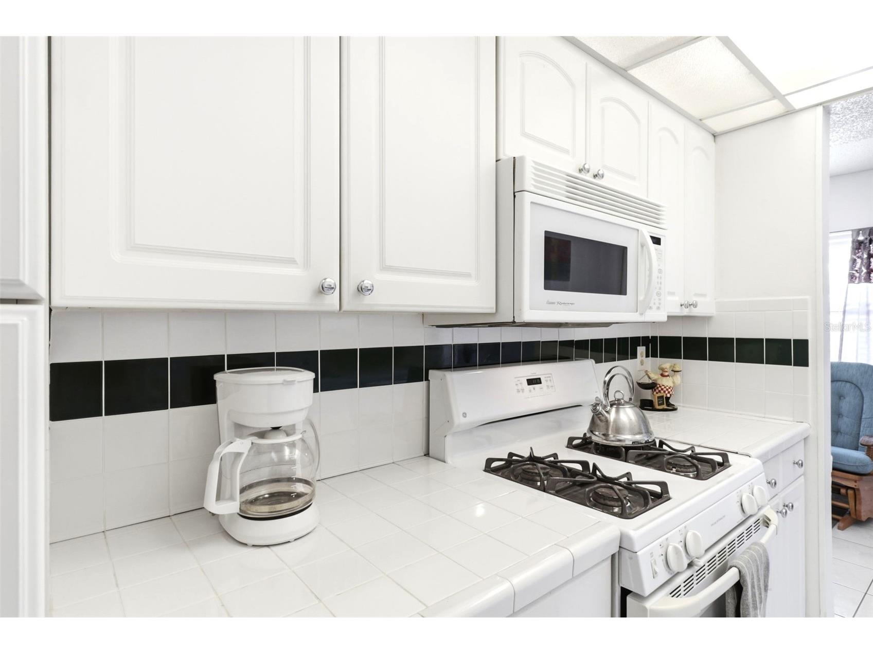 10034 64th Avenue N #3 Saint Petersburg FL 33708 TB8494864 image15