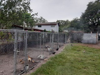 10034 Burton Street New Port Richey FL 34654 TB8510277 image17