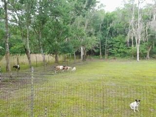 10034 Burton Street New Port Richey FL 34654 TB8510277 image22