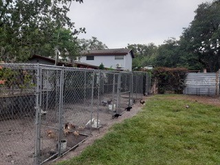 10034 Burton Street New Port Richey FL 34654 TB8510277 image23