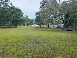 10034 Burton Street New Port Richey FL 34654 TB8510277 image27
