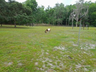 10034 Burton Street New Port Richey FL 34654 TB8510277 image30