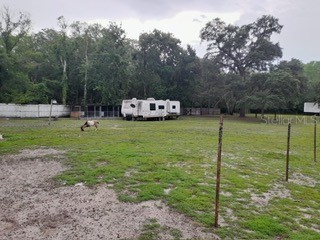 10034 Burton Street New Port Richey FL 34654 TB8510277 image35