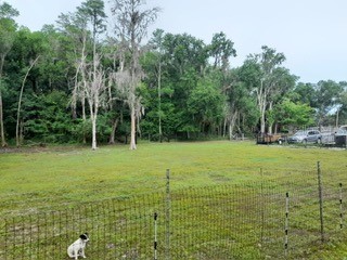 10034 Burton Street New Port Richey FL 34654 TB8510277 image43