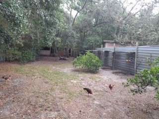 10034 Burton Street New Port Richey FL 34654 TB8510277 image47