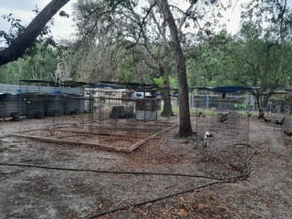 10034 Burton Street New Port Richey FL 34654 TB8510277 image49