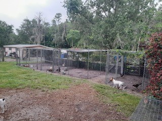 10034 Burton Street New Port Richey FL 34654 TB8510277 image53