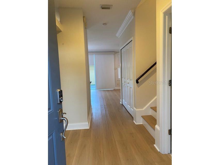 10034 Tate Lane Tampa FL 33626 TB8524147 image2