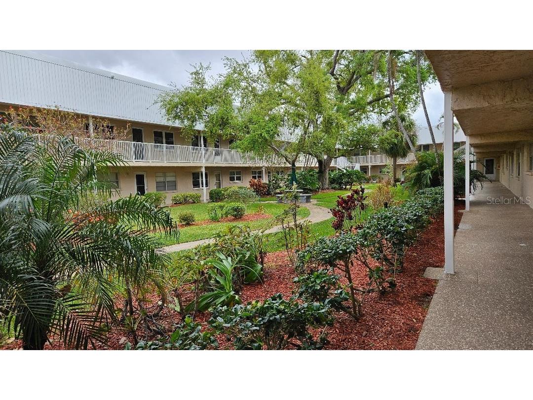 10035 63rd Avenue N #6 Saint Petersburg FL 33708 TB8485012 image2