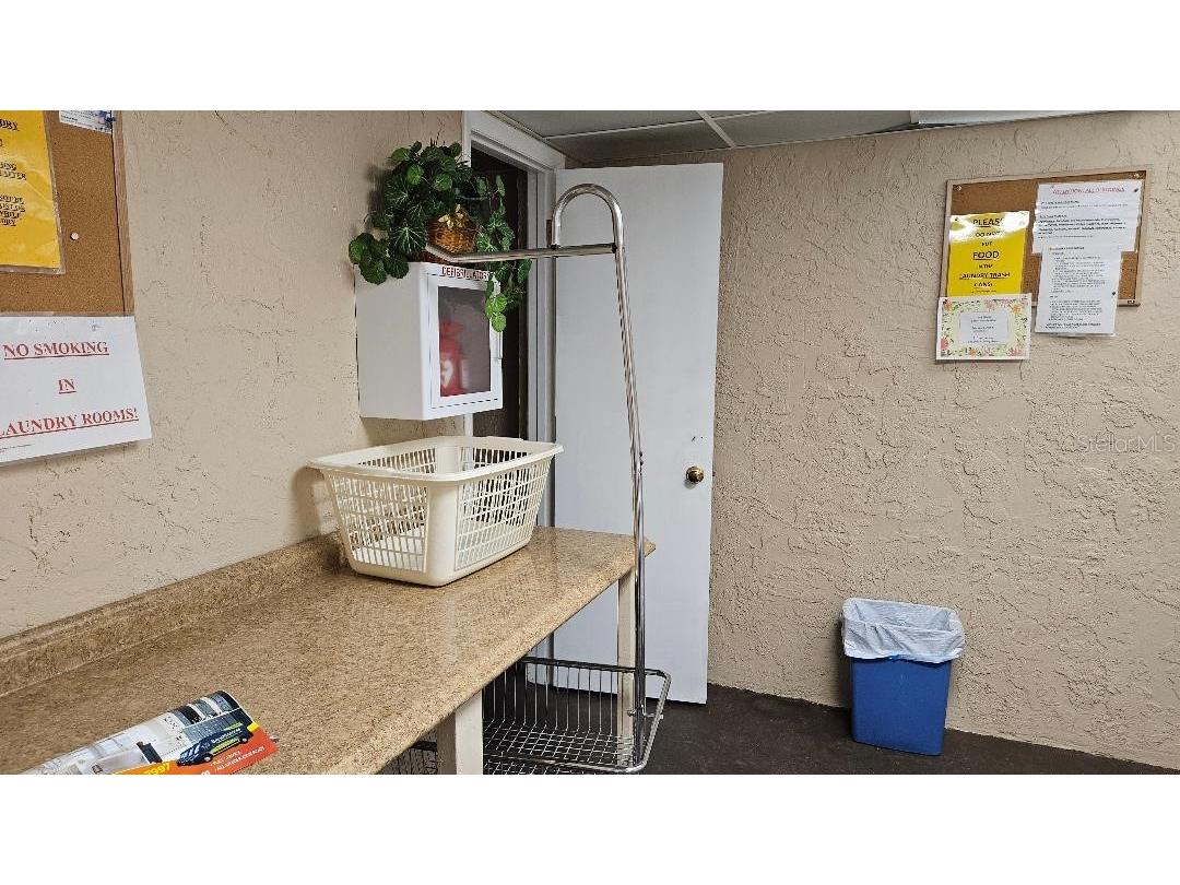 10035 63rd Avenue N #6 Saint Petersburg FL 33708 TB8485012 image23