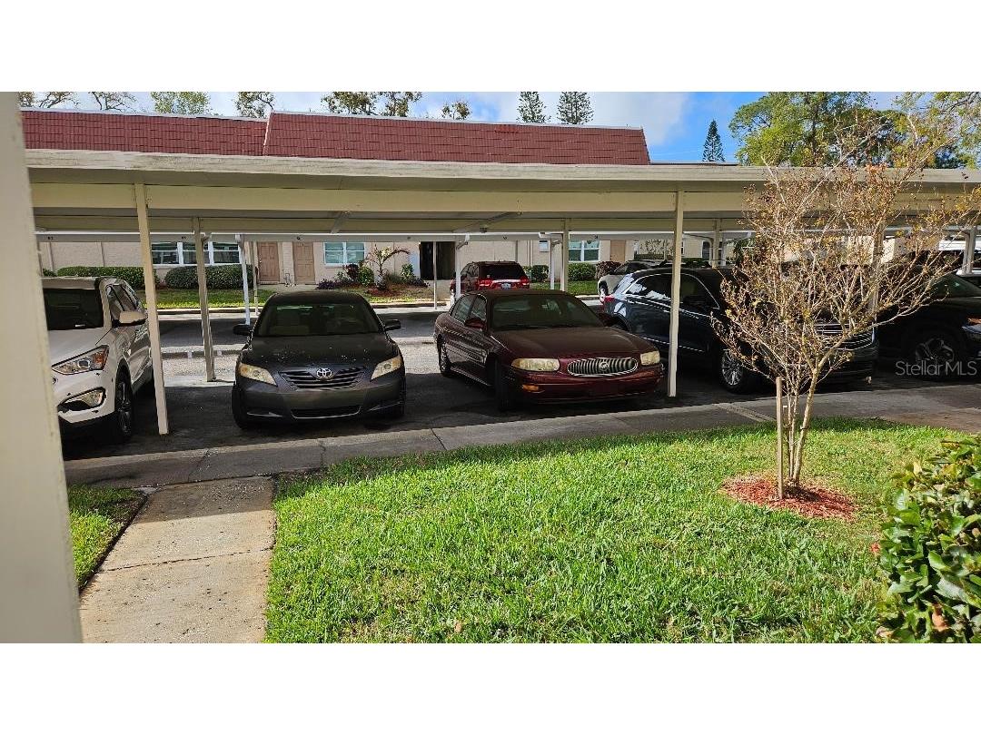 10035 63rd Avenue N #6 Saint Petersburg FL 33708 TB8485012 image5
