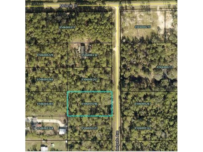 10035 Delgado Avenue Hastings FL 32145 FC289576 image1