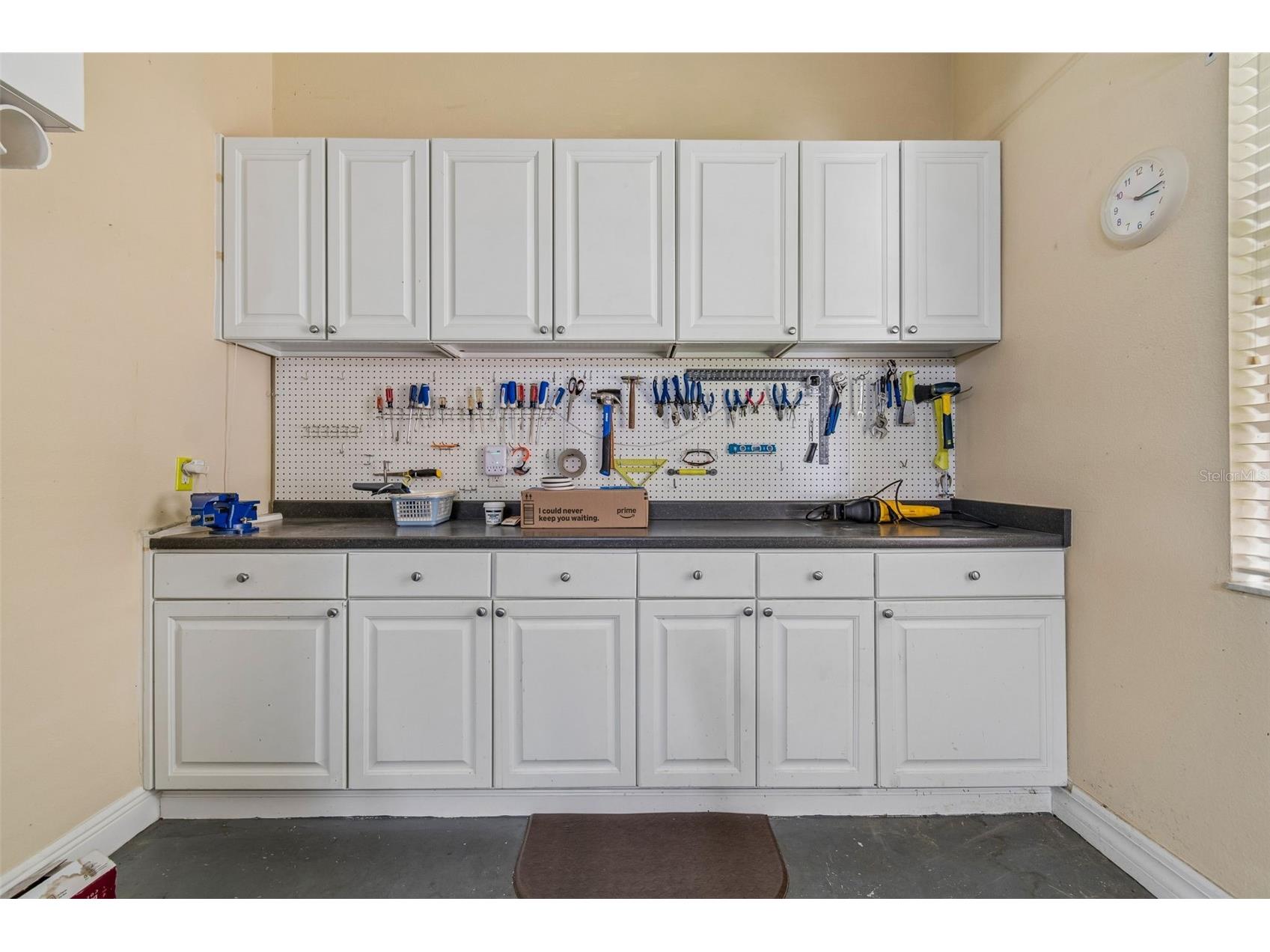 10035 Remington Drive Riverview FL 33578 - LAKE ST. CHARLES TB8521491 image18