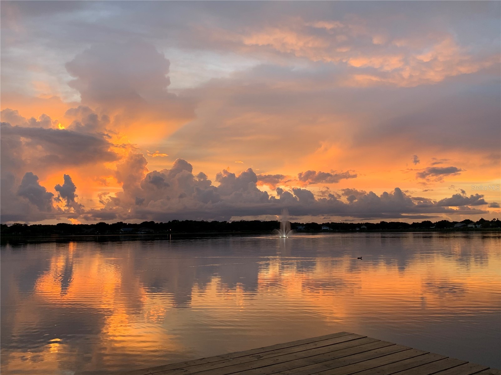 10035 Remington Drive Riverview FL 33578 - LAKE ST. CHARLES TB8521491 image27