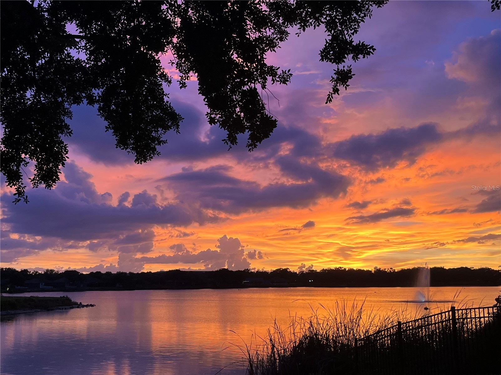 10035 Remington Drive Riverview FL 33578 - LAKE ST. CHARLES TB8521491 image4