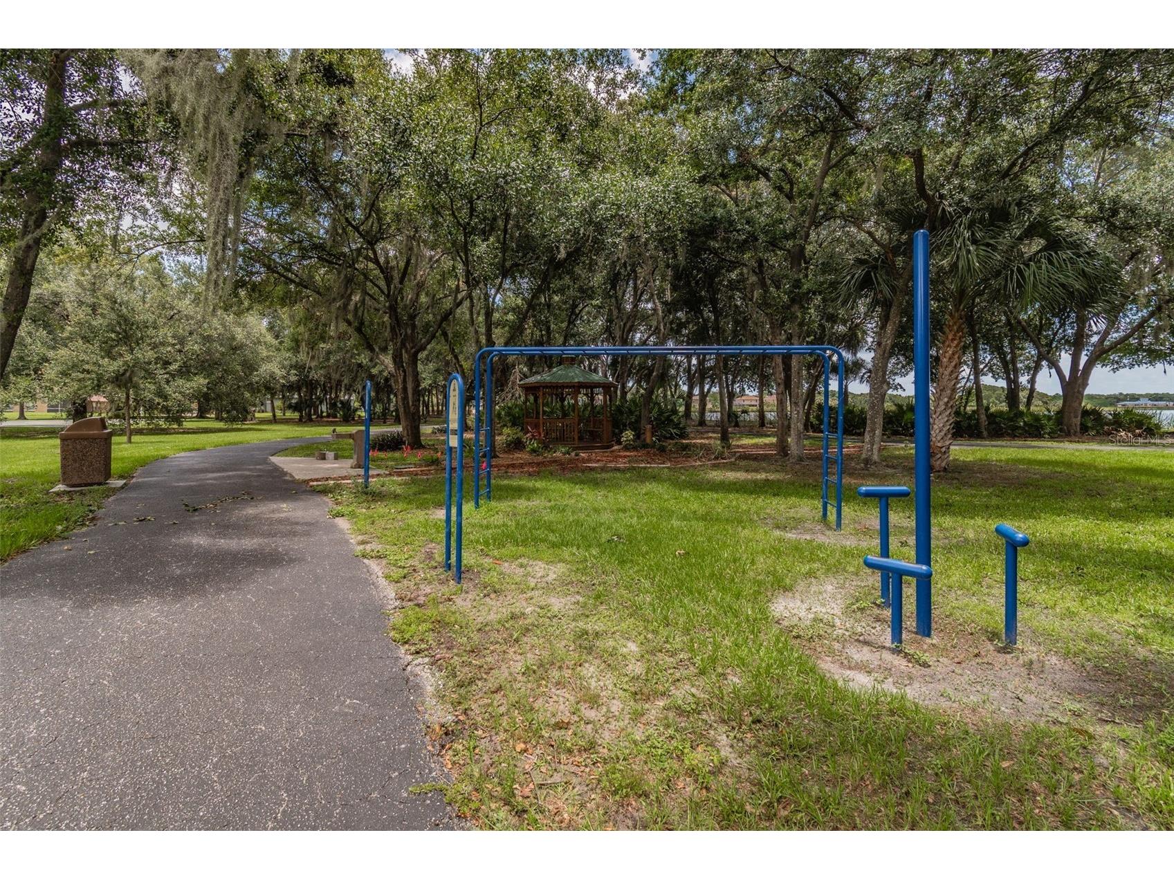 10035 Remington Drive Riverview FL 33578 - LAKE ST. CHARLES TB8521491 image44