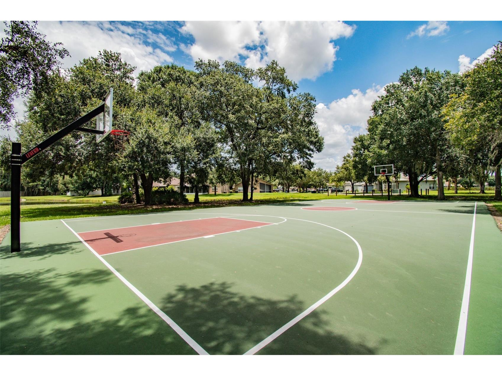10035 Remington Drive Riverview FL 33578 - LAKE ST. CHARLES TB8521491 image45