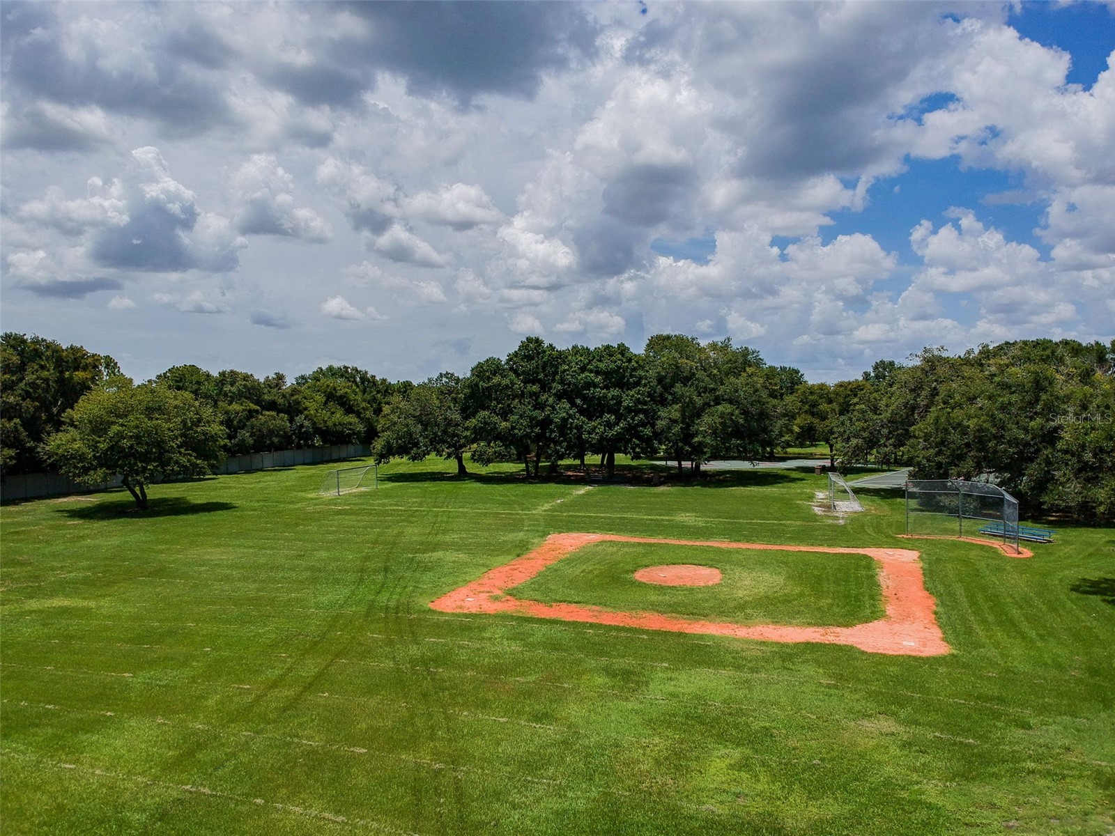 10035 Remington Drive Riverview FL 33578 - LAKE ST. CHARLES TB8521491 image46