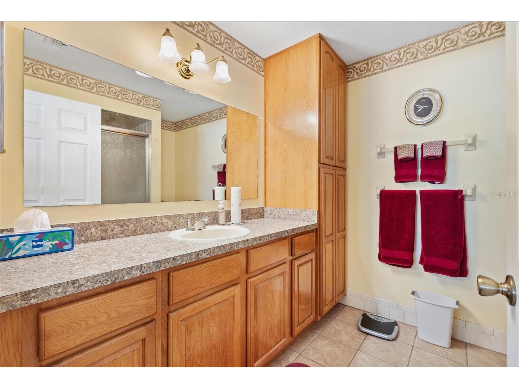 10035 SE 175th Street Summerfield FL 34491 OM713263 image18