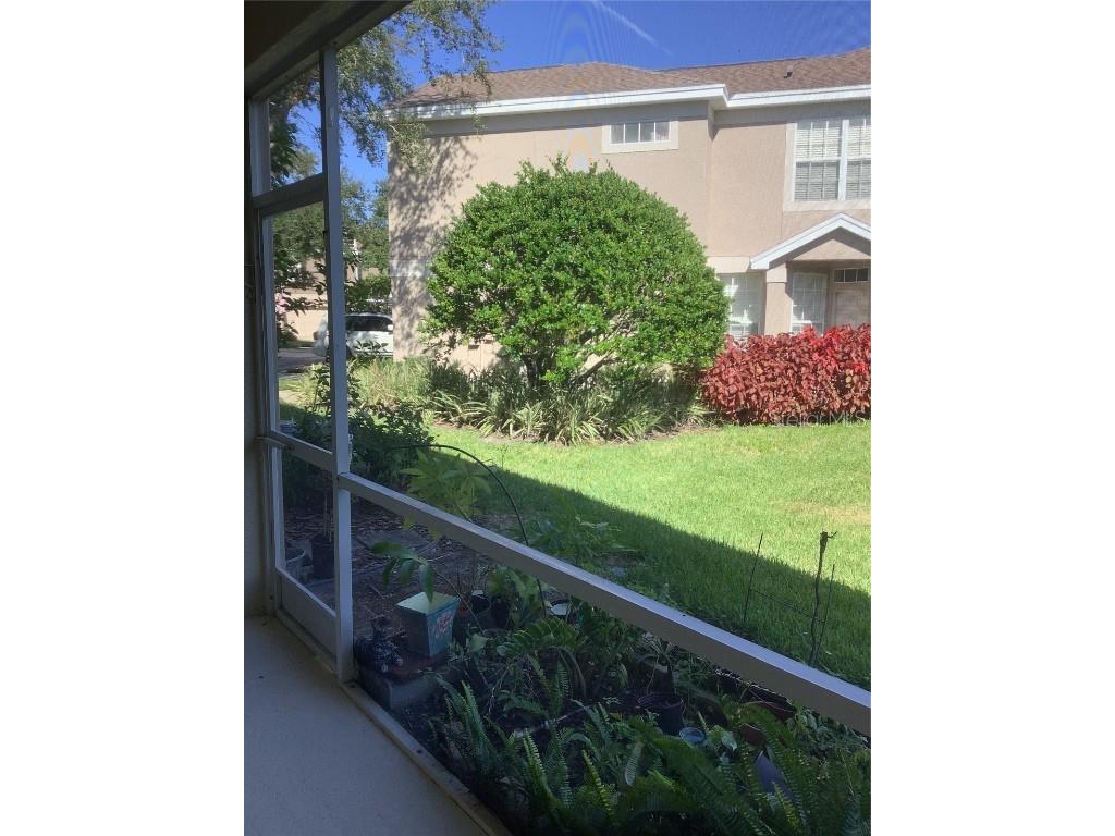10035 Tranquility Way #10035 Tampa FL 33625 TB8422894 image14