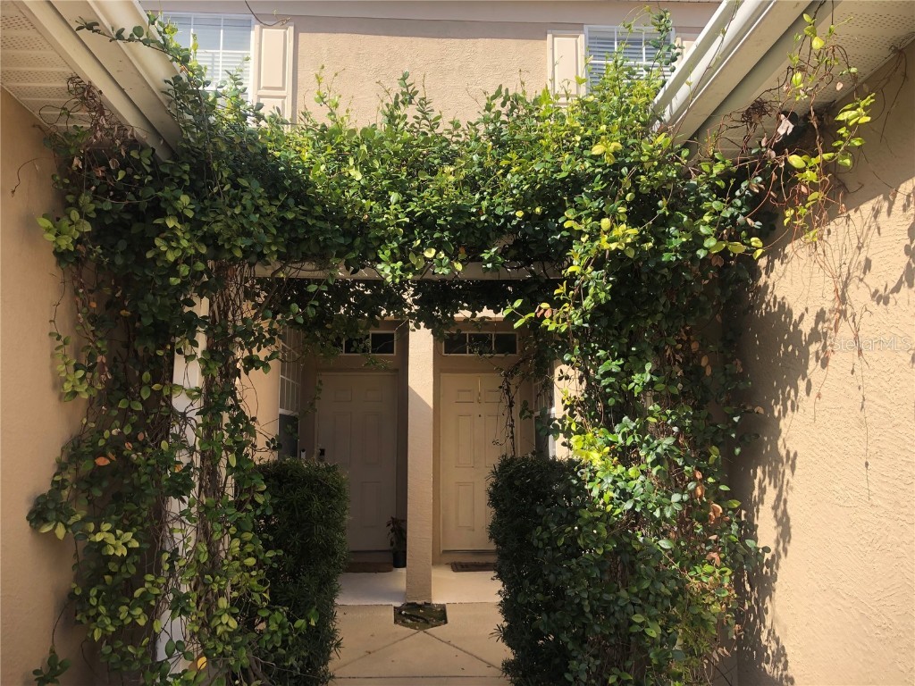 10035 Tranquility Way Tampa FL 33625 T3509651 image1