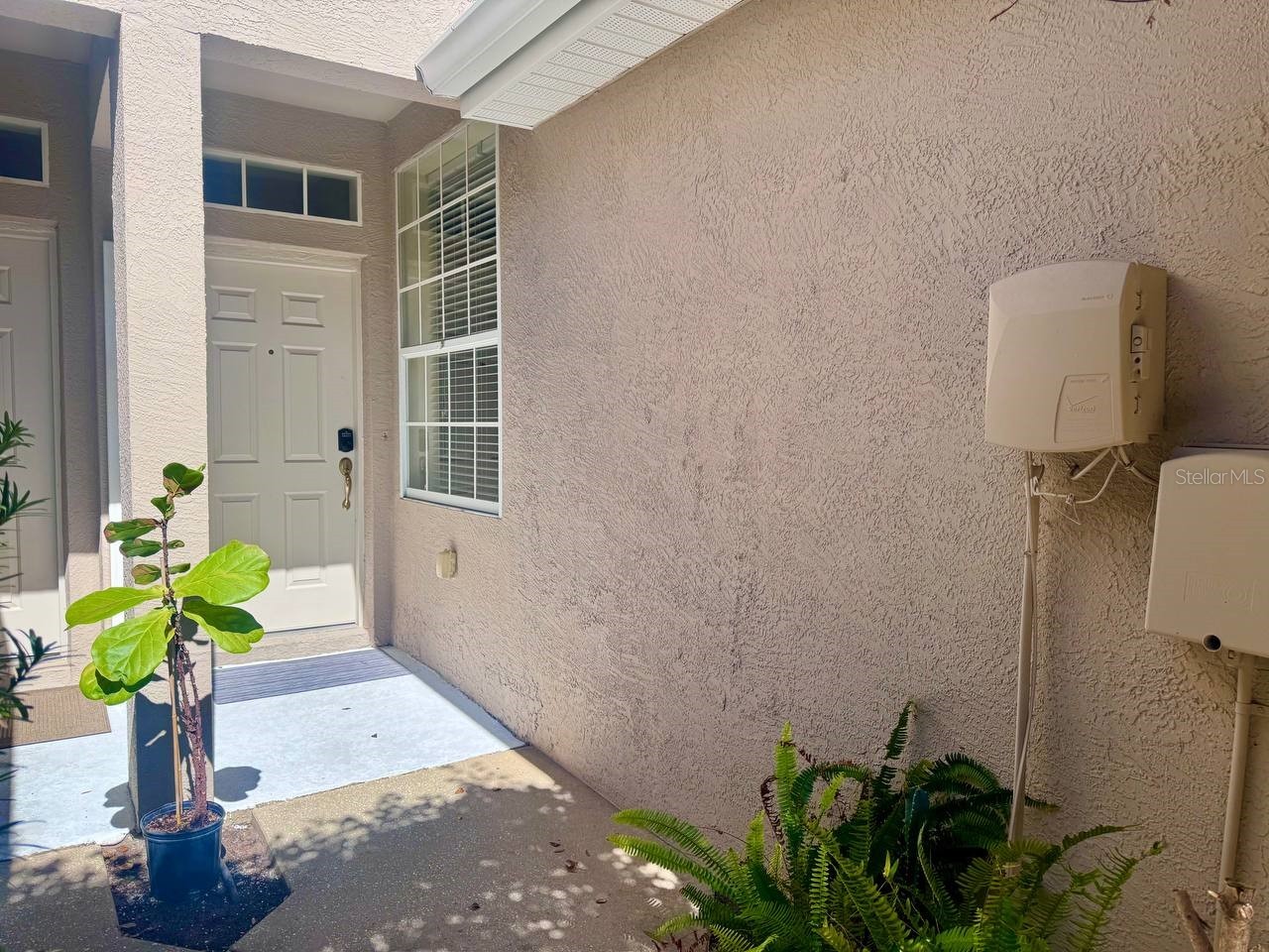 10035 Tranquility Way Tampa FL 33625 TB8472618 image4