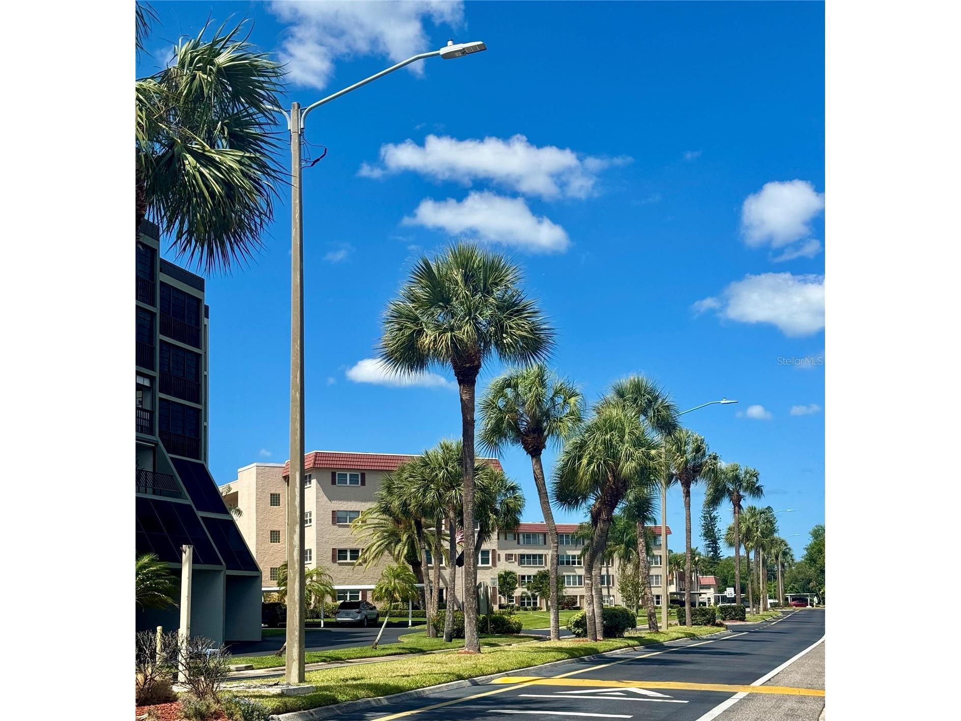 10036 63rd Avenue N #23 Saint Petersburg FL 33708 TB8497120 image18