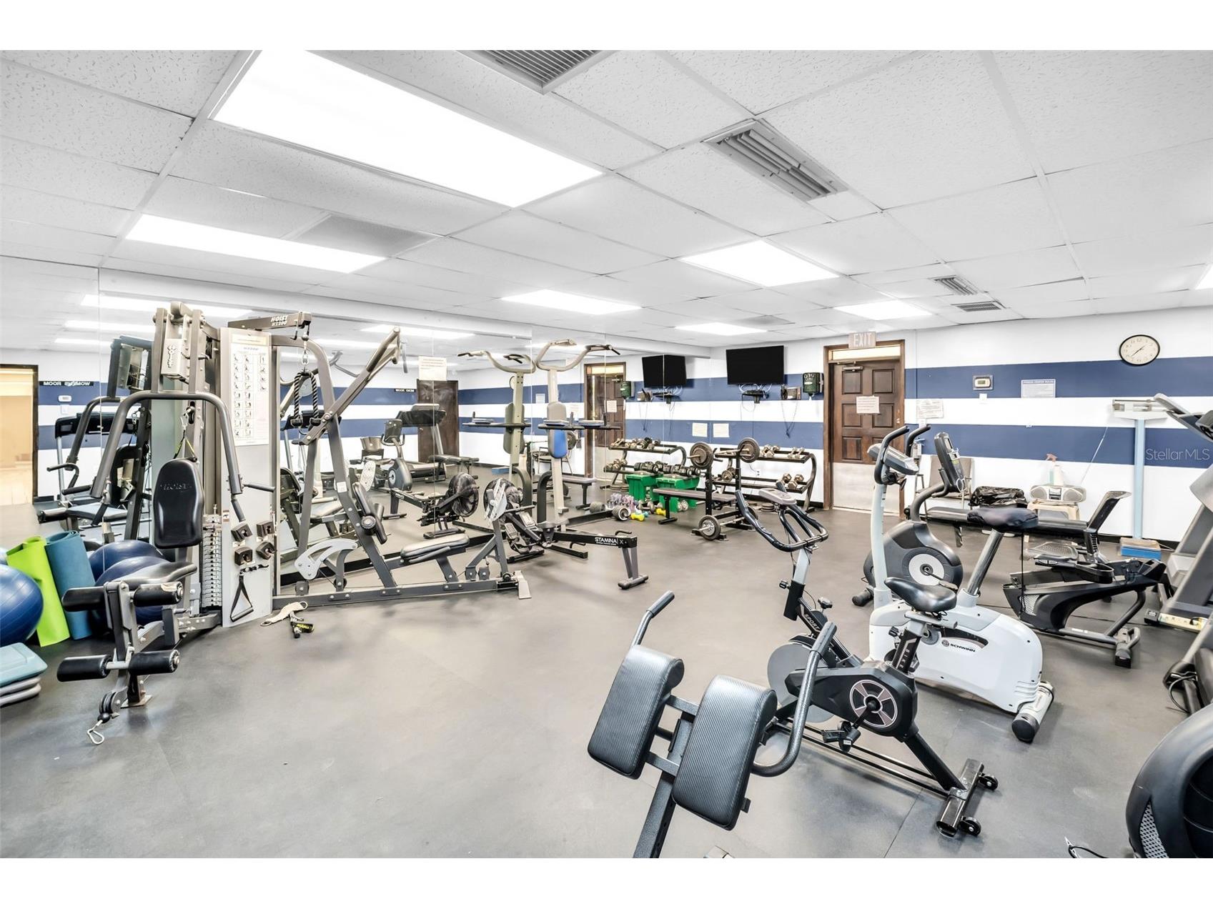 10036 63rd Avenue N #6 Saint Petersburg FL 33708 TB8507867 image28