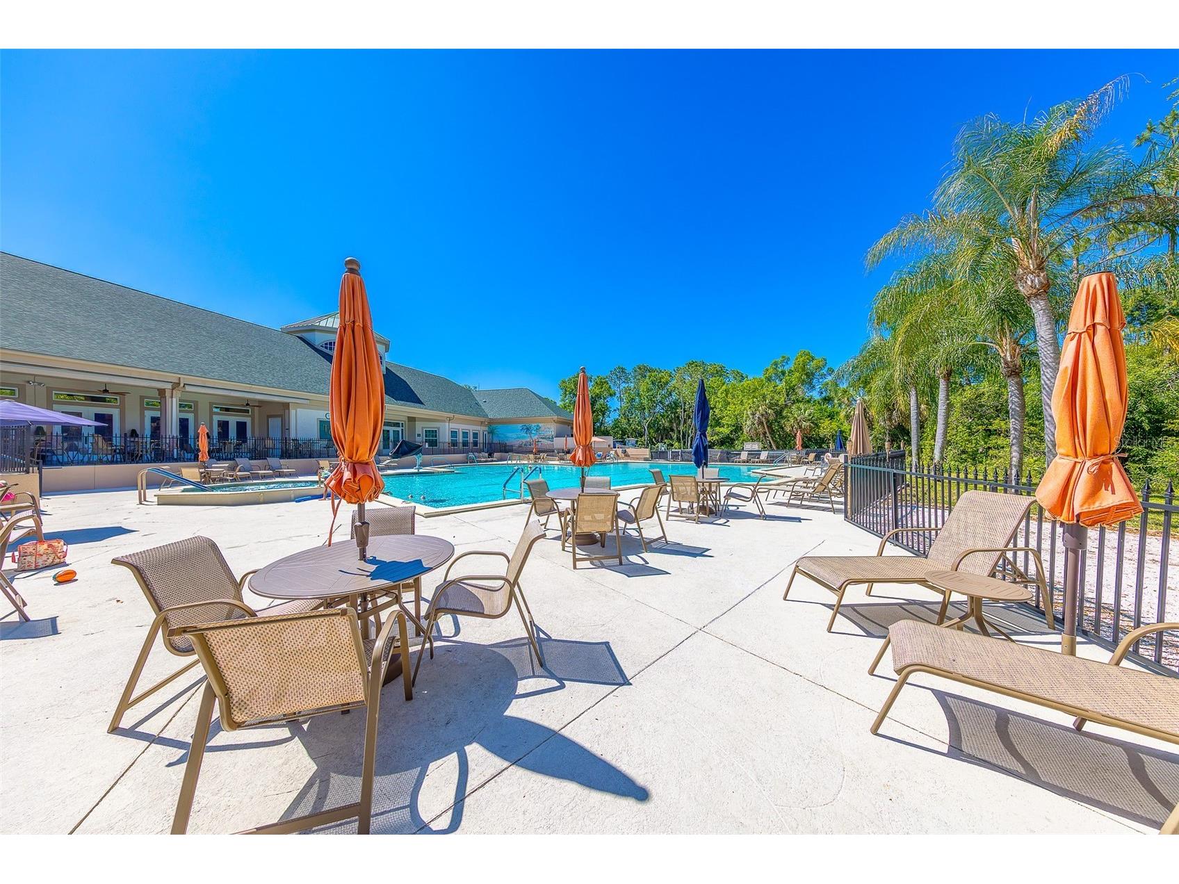 10036 Brookdale Drive New Port Richey FL 34655 TB8500743 image43