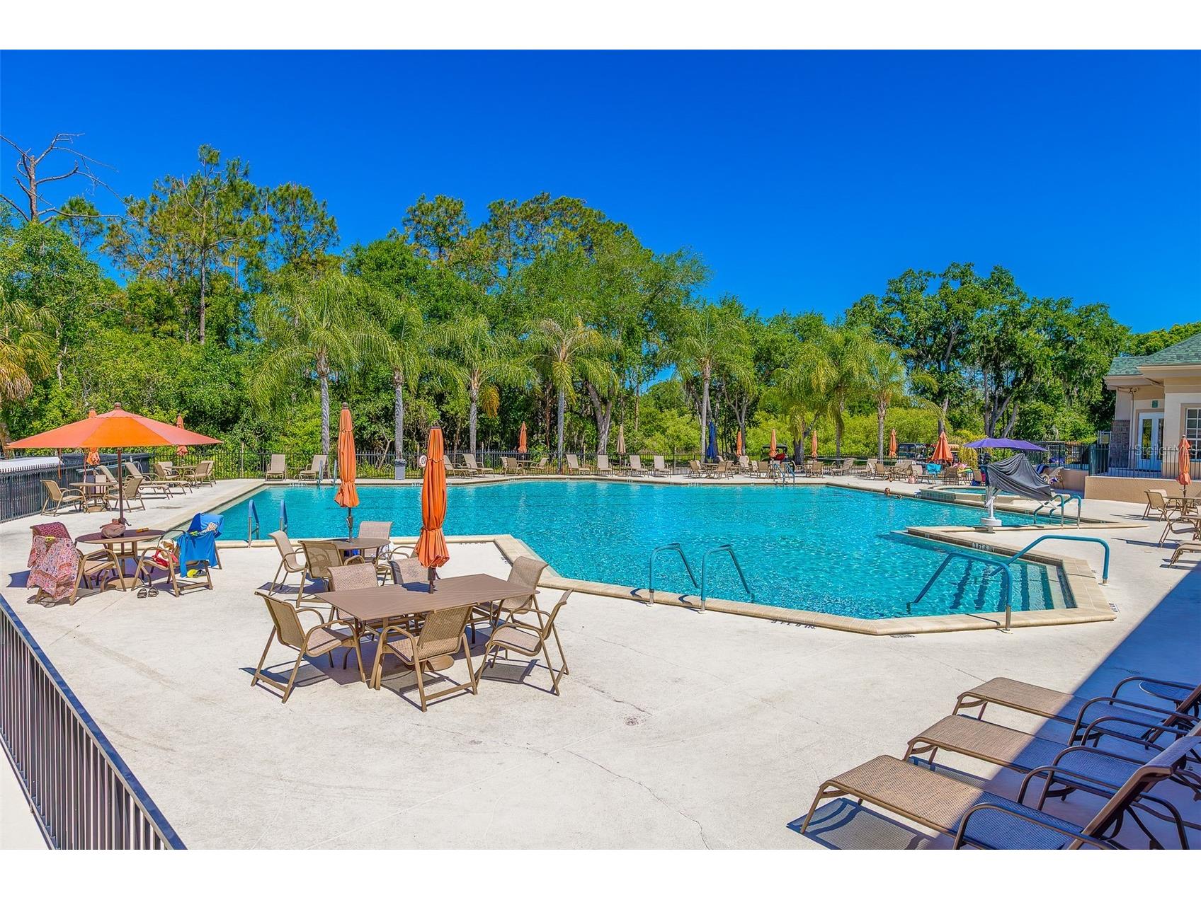10036 Brookdale Drive New Port Richey FL 34655 TB8500743 image44