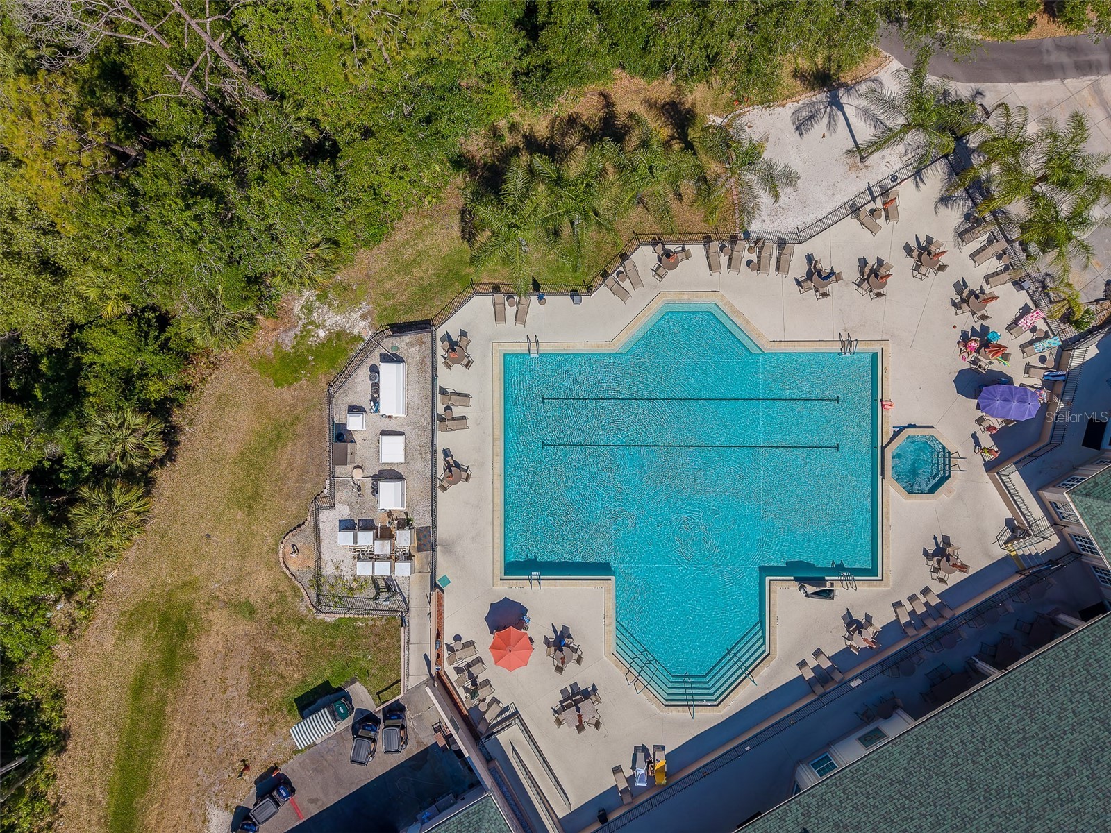 10036 Brookdale Drive New Port Richey FL 34655 TB8500743 image46