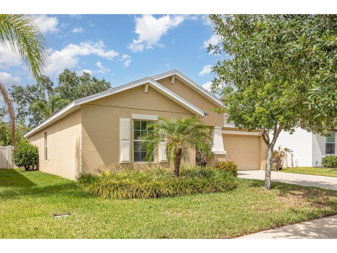 10036 Crested Fringe Drive Riverview FL 33578 TB8381995 image1