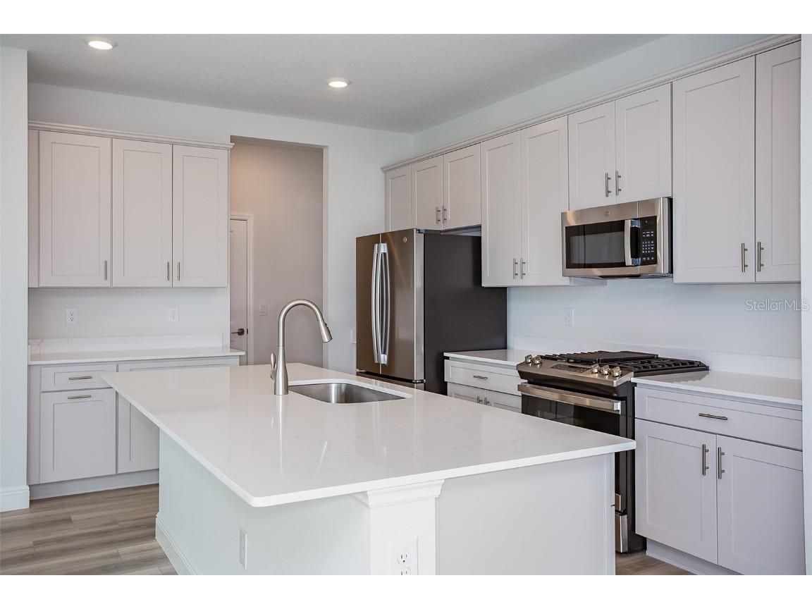 10036 Surrey Rose Drive San Antonio FL 33576 TB8398684 image2