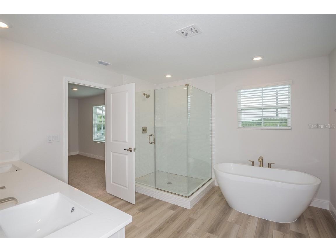 10036 Surrey Rose Drive San Antonio FL 33576 TB8398684 image22