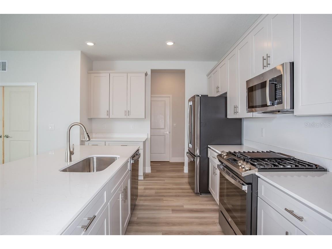 10036 Surrey Rose Drive San Antonio FL 33576 TB8398684 image4