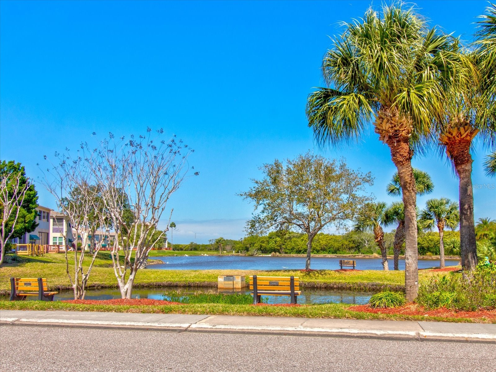 10037 62nd Terrace N #23 Saint Petersburg FL 33708 A4656703 image54