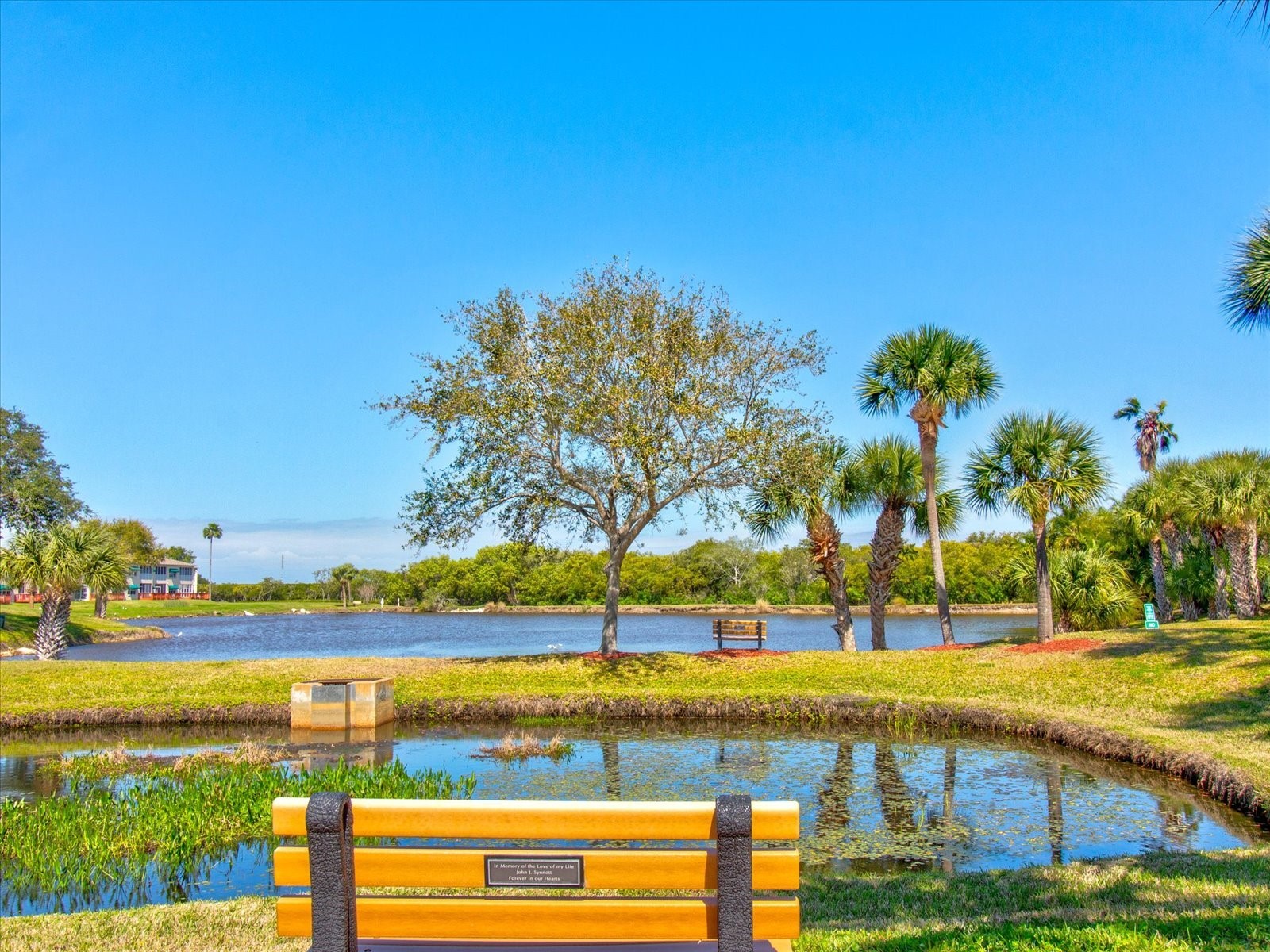 10037 62nd Terrace N #23 Saint Petersburg FL 33708 A4656703 image55