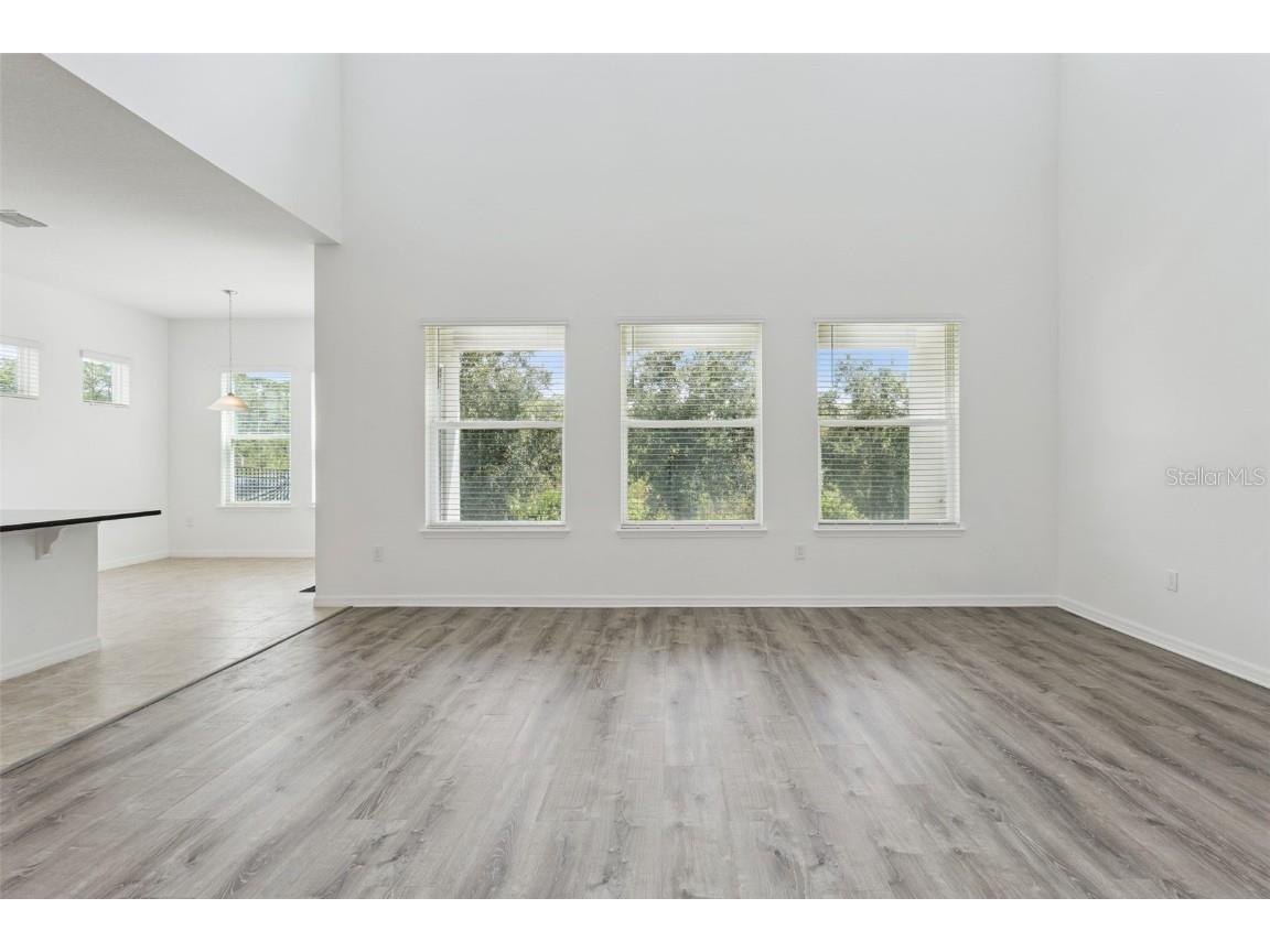 10037 Austrina Oak Loop Winter Garden FL 34787 O6348960 image12