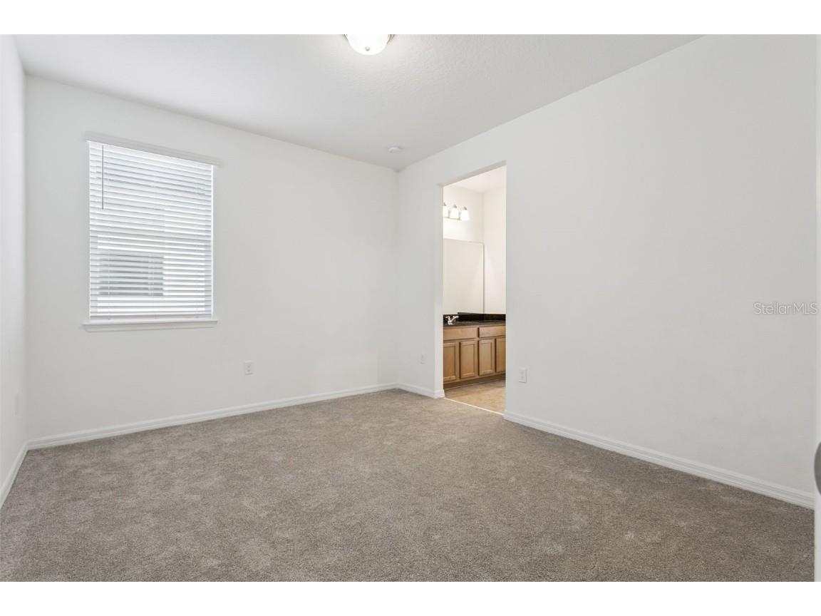 10037 Austrina Oak Loop Winter Garden FL 34787 O6348960 image28