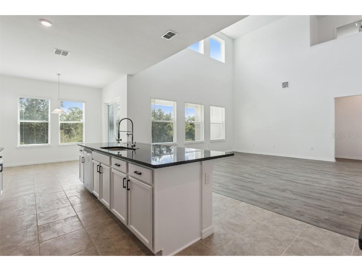 10037 Austrina Oak Loop Winter Garden FL 34787 O6348960 image9