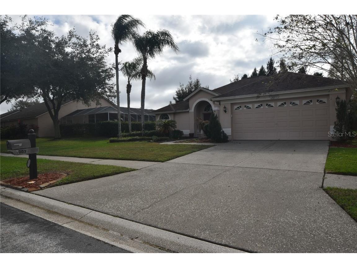 10037 Colonnade Drive Tampa FL 33647 T3442849 image1
