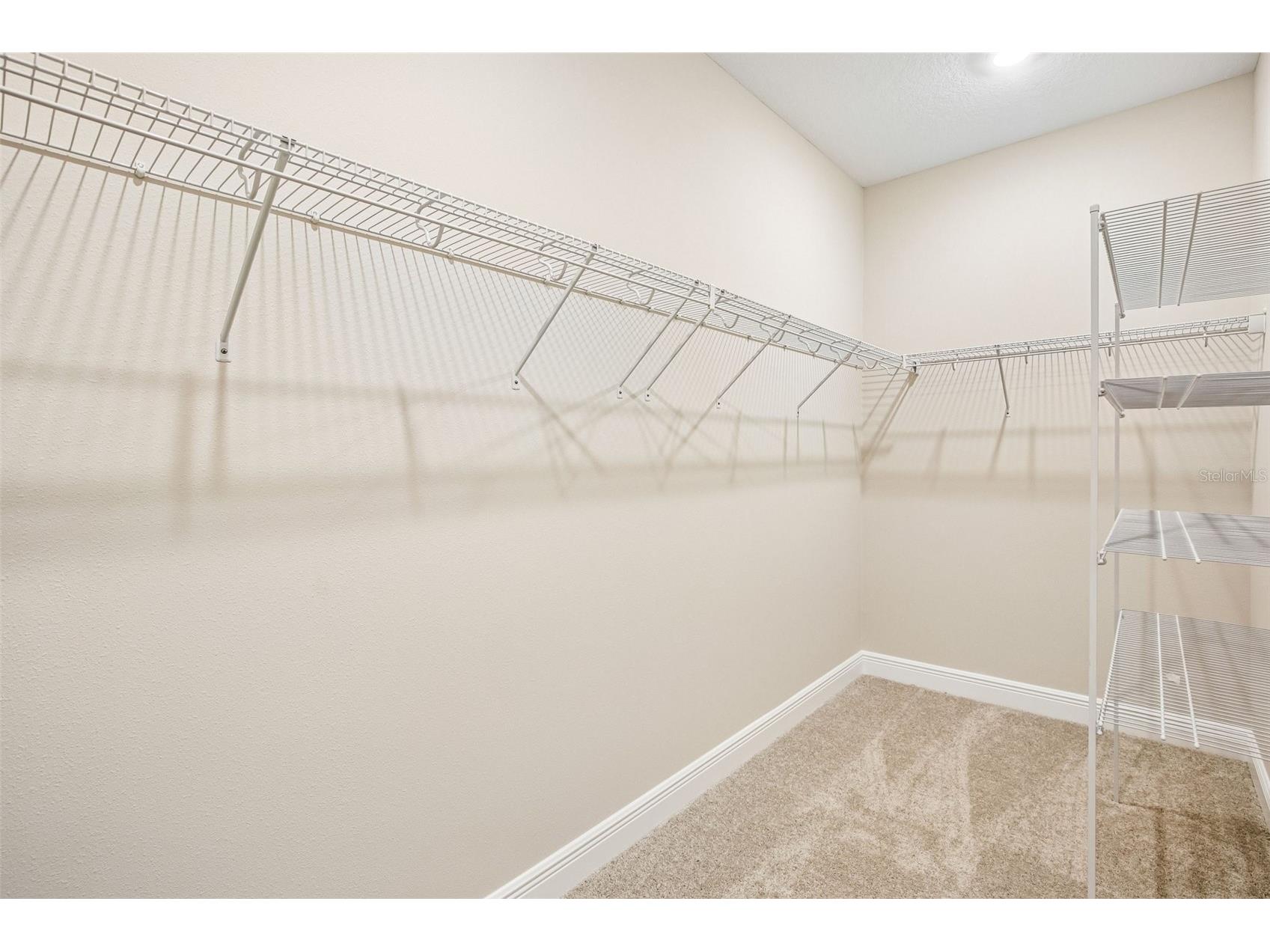 10037 Hidden Hammock Loop Parrish FL 34219 TB8482334 image24